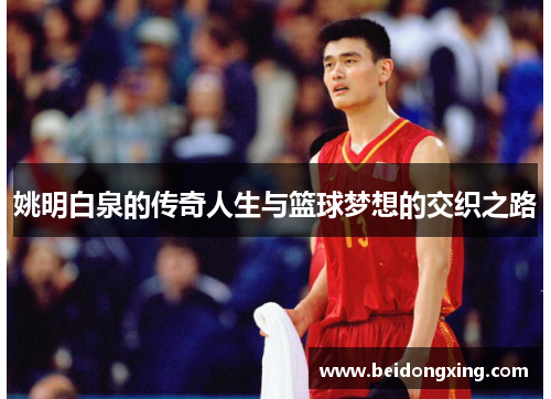 姚明白泉的传奇人生与篮球梦想的交织之路