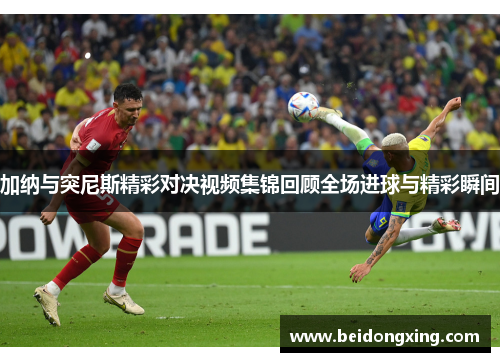 加纳与突尼斯精彩对决视频集锦回顾全场进球与精彩瞬间