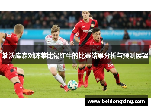 勒沃库森对阵莱比锡红牛的比赛结果分析与预测展望